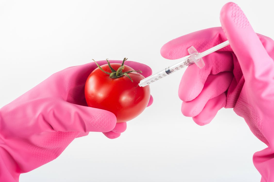 Organic Food vs GMOs