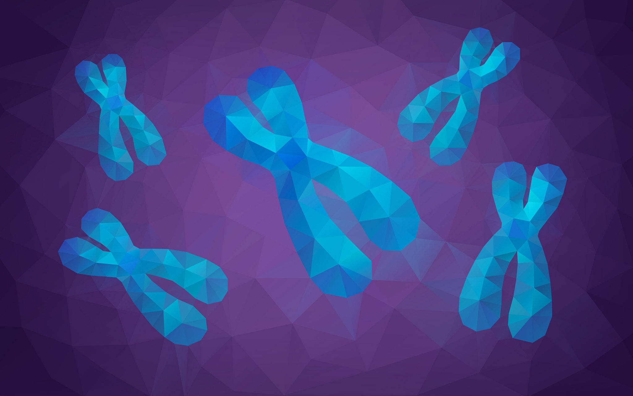 The Genetics of PTC Sensitivity and Tongue Rolling