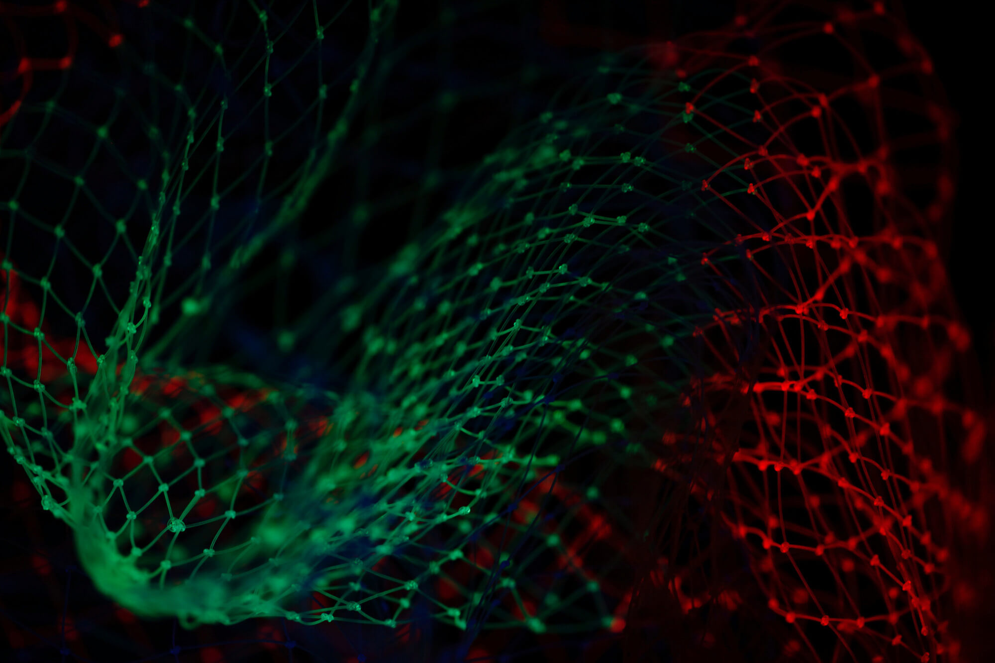 AR’e You Talking to Me? Mini Case Study in Cell Signalling
