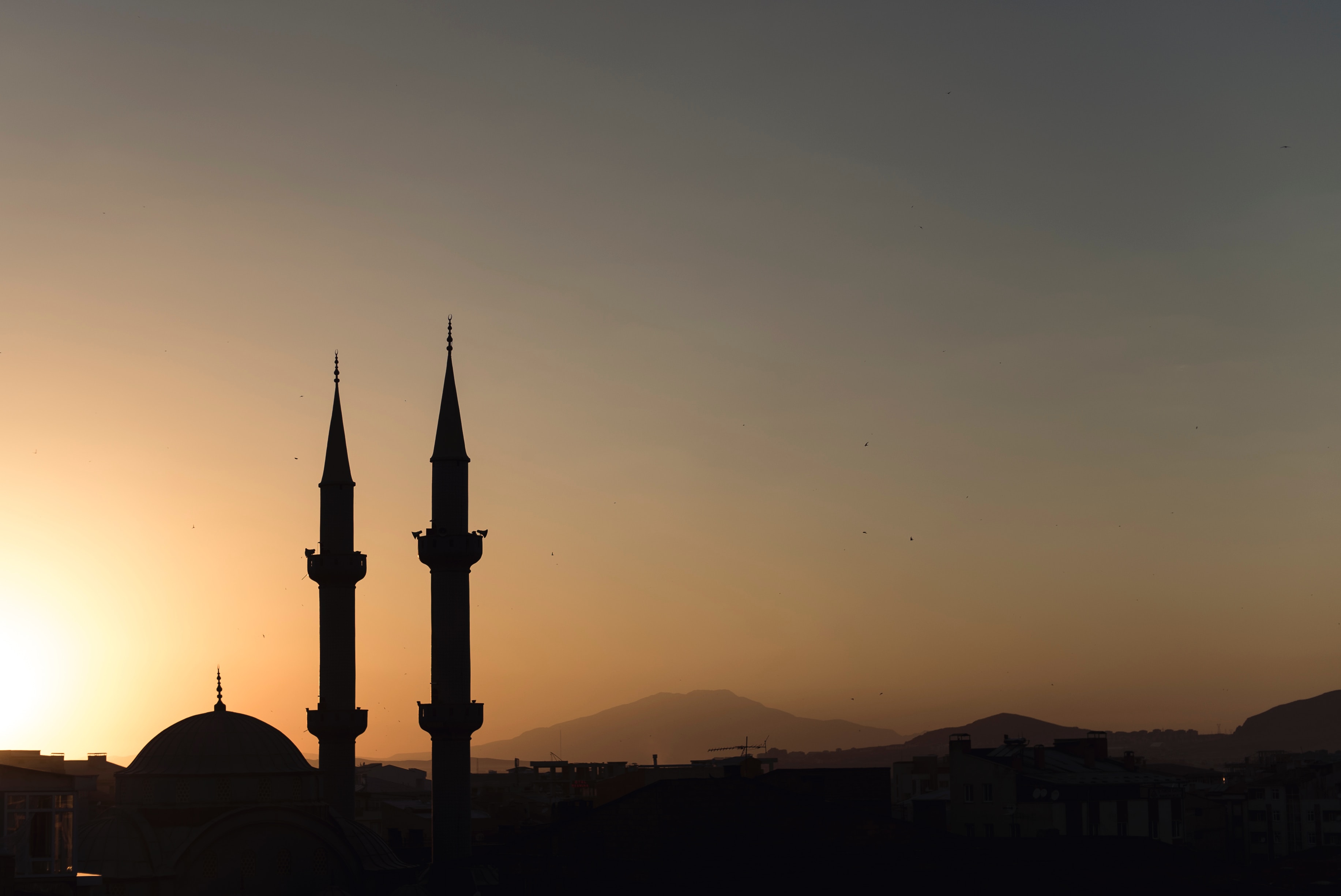 Reflective Reading on Islam