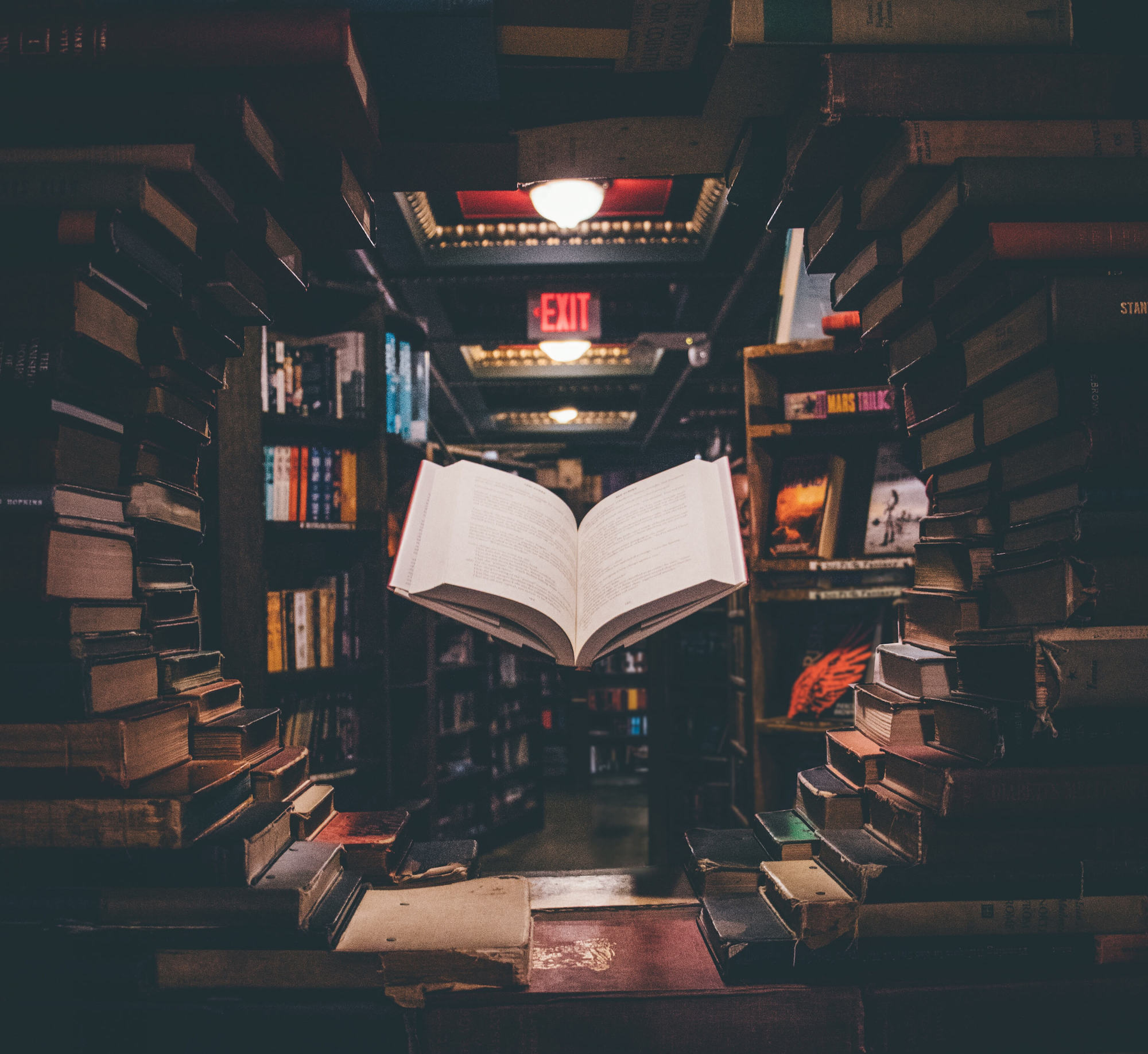 Library Scavenger Hunt: Let the Race Begin