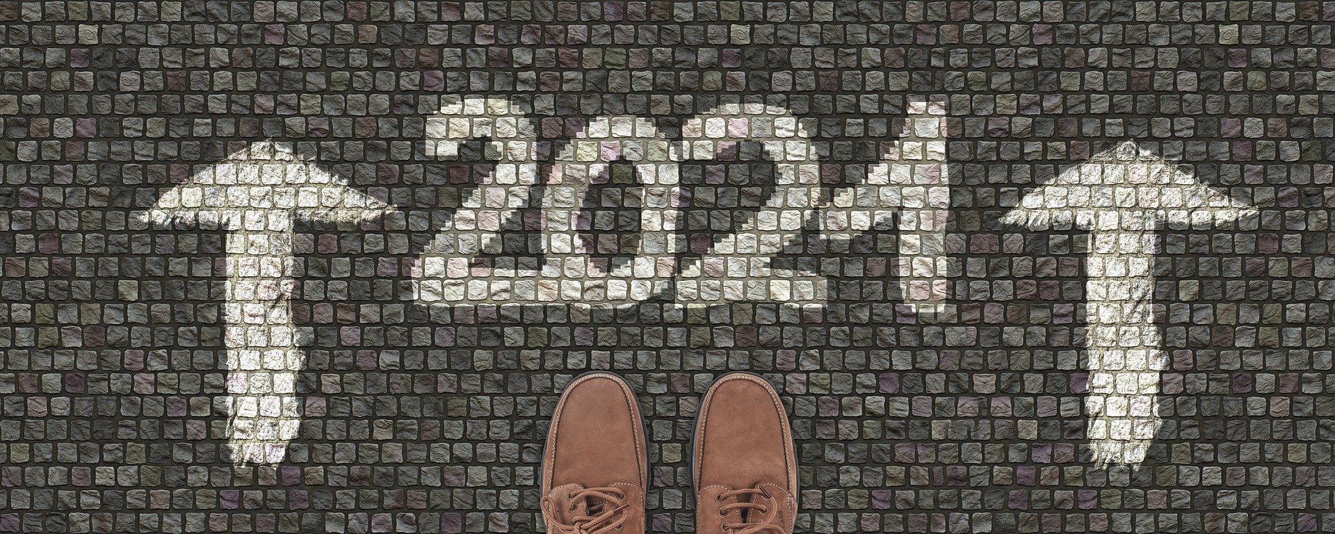 A Preview of SALTISE in 2021